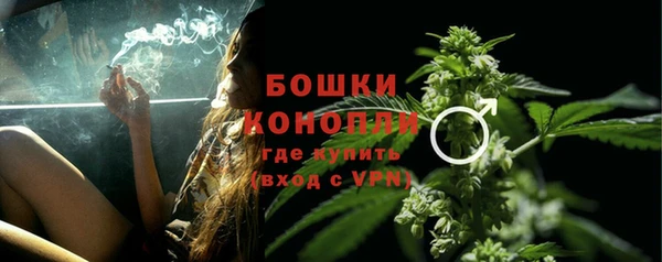 стафф Вязьма