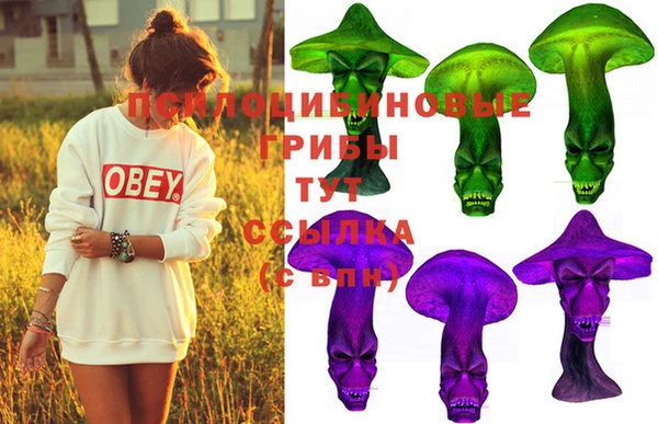 стафф Вязьма