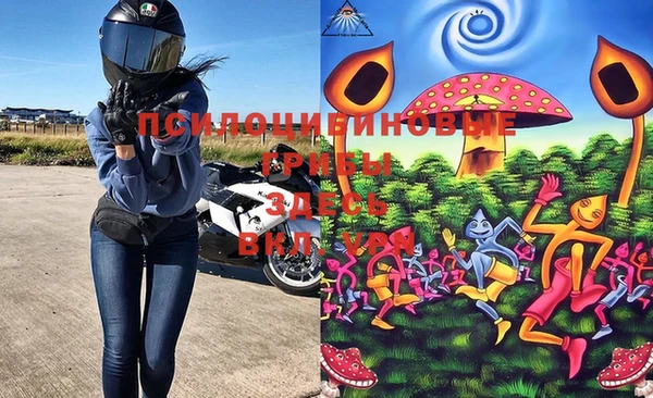 эйфоретик Вязники