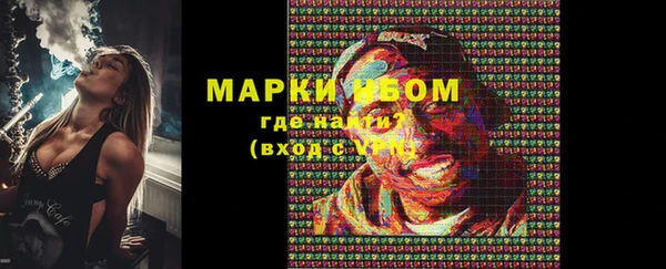 стафф Вязьма