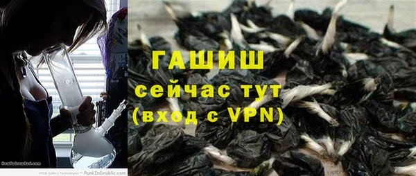 стафф Вязьма