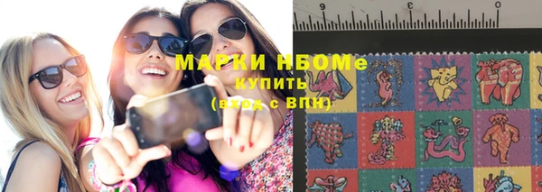 стафф Вязьма