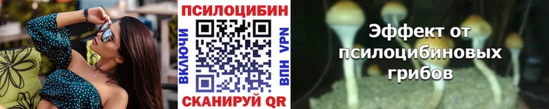 Псилоцибиновые грибы Psilocybe  Камызяк 